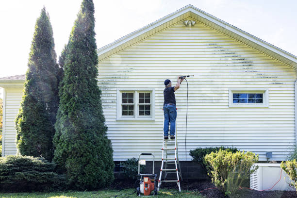 Best Soft Washing for Delicate Surfaces in Pinckneyvle, IL